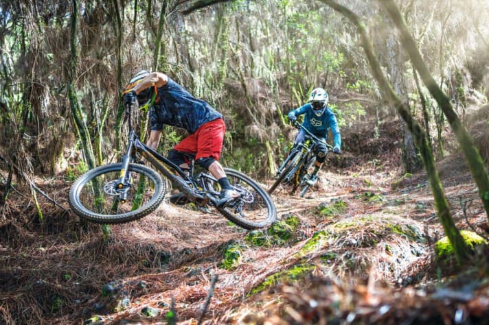   Specialized is said to have bought and analysed the most important competitor bikes - to make the new Demo even faster. The racing successes seem to prove the Americans right.