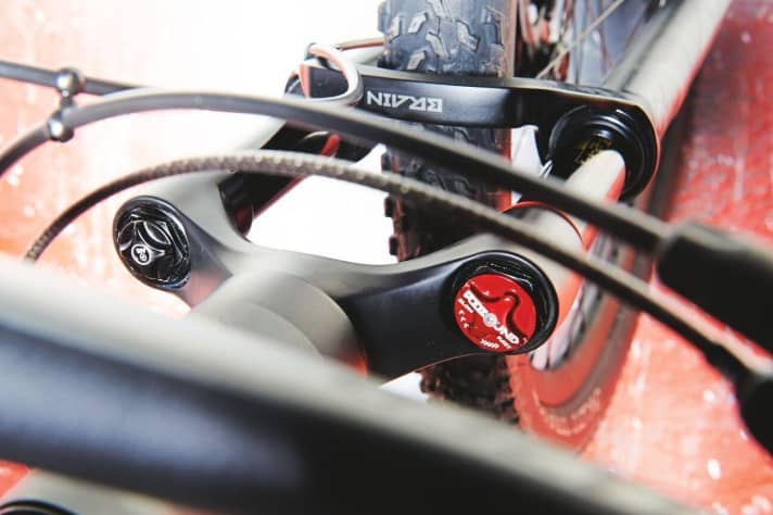   Specialised: The Brain system in the suspension fork opens and closes automatically. The sensitivity can be adjusted using the red button.