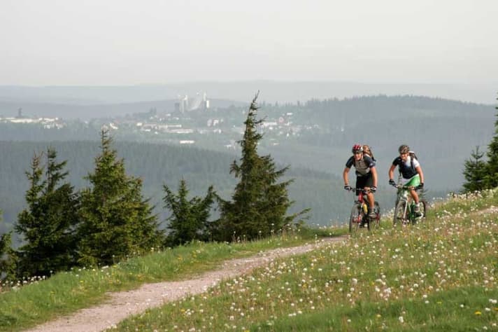   Not quite 1,000 metres high, but plenty of panoramic views: summit trails.