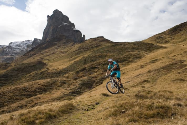   It has learnt to walk on scree - just like the chamois