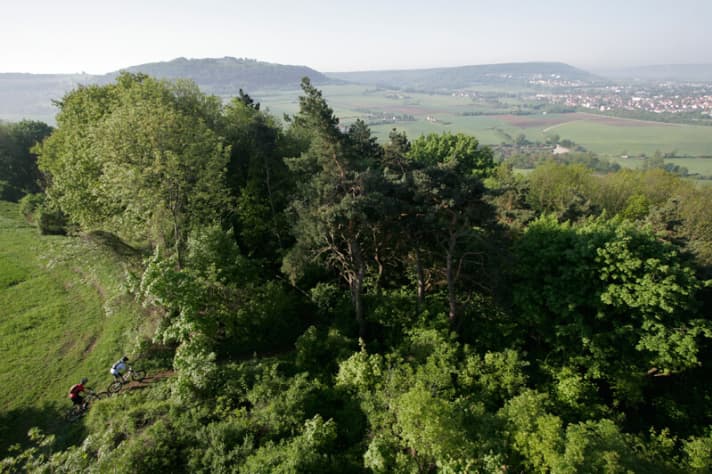   In the cut of the Massendorf gorge, we enter a singletrail that winds its way along a sandstone edge, riddled with roots.