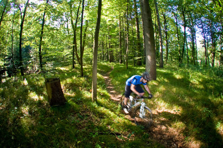   The Isar trails are Munich's favourite child. Simply thread in and follow the paths southwards. Fitness editor Björn Scheele pedals the office dust out of his throat here.