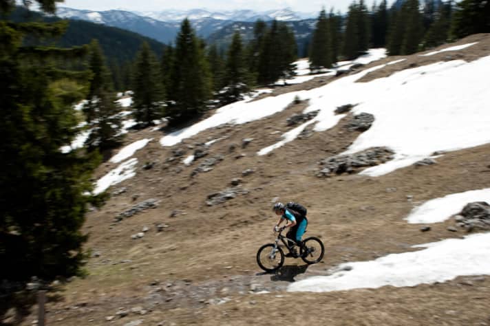   From the Weidberg Alm, simply follow the path into the forest.