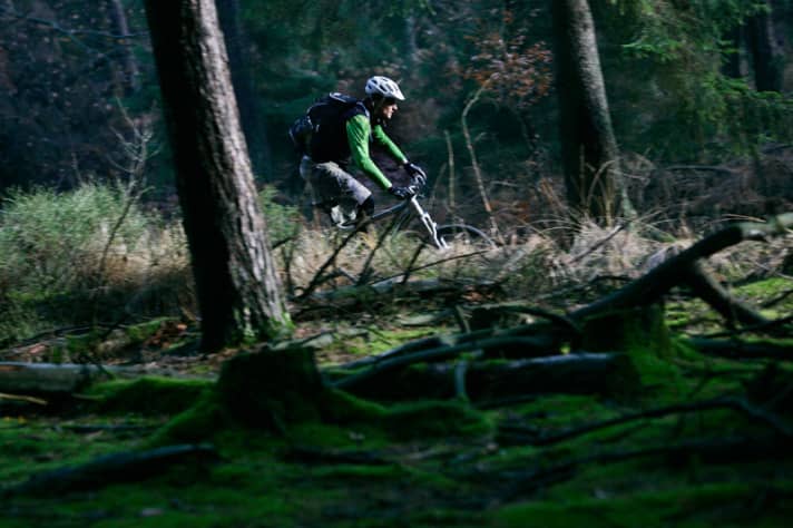   Statt Alster, Elbe und Nordsee : Die Harburger Berge sind Hamburgs Ausflugsziel ohne Deich.
