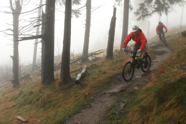   Geheimnisvoll: ohne Nebelscheinwerfer auf dem Feldberg-Trail im Taunus bei Frankfurt.
