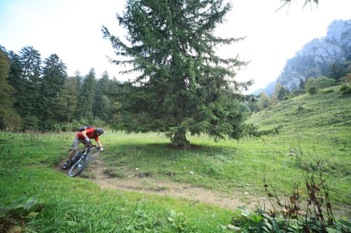   ...Danach kurvt der Trail erst sanft über die Almen.