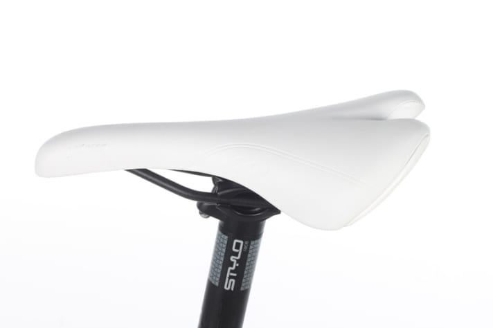   No woman sat better on one. The saddle on the Northern Lite was appreciated by all women: sporty and comfortable.