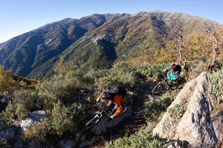   Mule tracks: these paths brought fish to the villages and timber to the beach. Rediscovered by bikers.