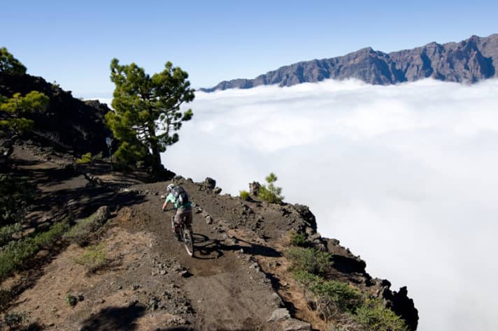   Schwarze Lava-Trails, Wattewolken und sattes Grün vor blauem Himmel – La Palmas Farben im Winter.