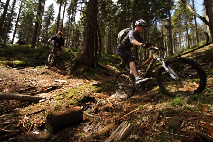   The descent from the Schneekoppe: don't miss any markings as you slalom around the trees.