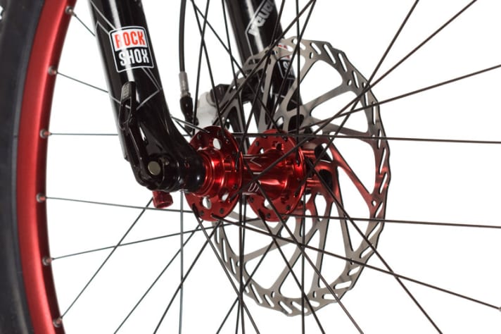   Die Steckachse bringt Steifigkeit. Die große Disc sorgt für viel Kontrolle bergab.