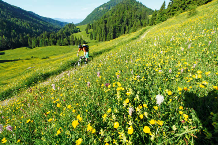   A magnet for trail fans: the Trockenbachtal valley.