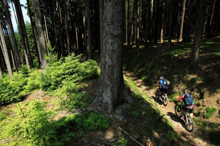   Der Untergrund im Oberpfälzer Wald wechselt im Zwei-Minuten-Takt: Feldweg, Wiesentrampelpfad, Schotterpiste, Wurzel-Trail – wem hier beim Biken langweilig wird, dem ist nicht mehr zu helfen.