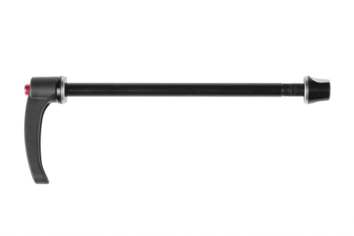   Thru axles are also available in 10mm. Here without quick release as Thru Bolt from DT Swiss.