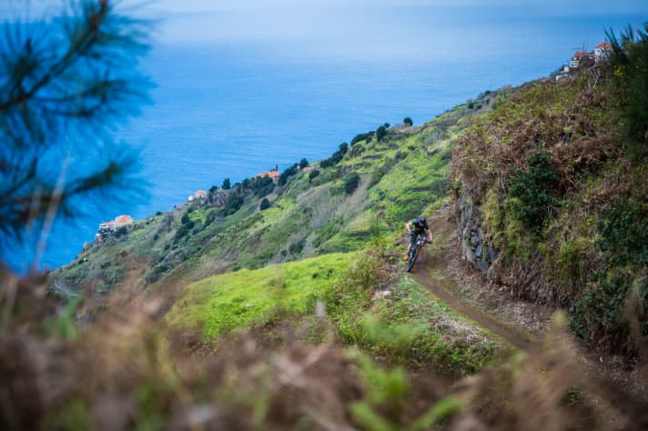   Our test area for the YT Jeffsy: MTB trails with sea views on Madeira.
