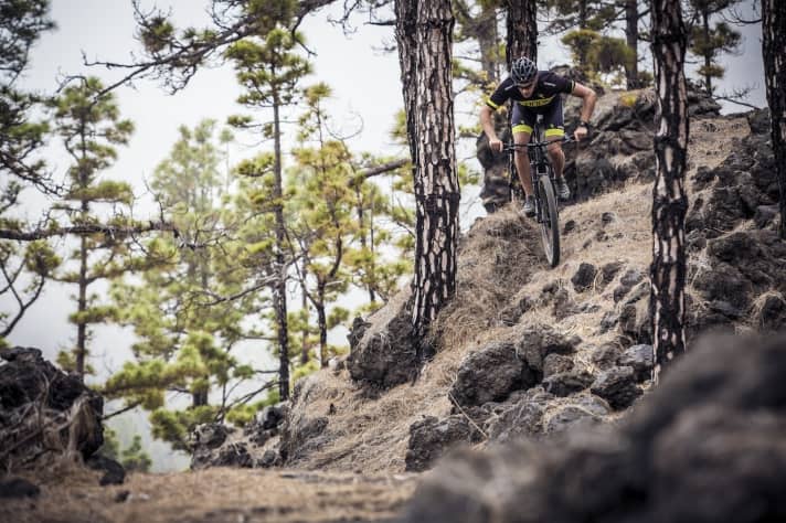   Mit Hardtails werden immer technischere Rennkurse und Trails gefahren, das verlangt nach einer passenden Geometrie.