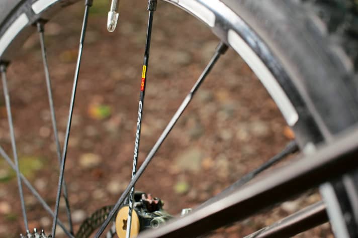   Gleich zweimal brach eine Speiche im Hinterrad des Canyon Nerve und verursachte einen starken Achter. Die Reparatur bei Mavic dauerte 6 Wochen.