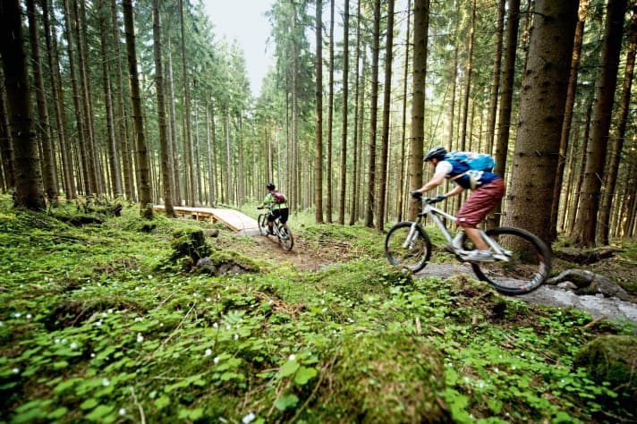   Trail centre Rychlebské Stezky in the Czech Republic