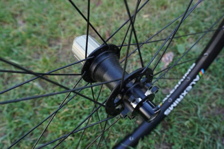   Bear Pawls hubs with 28 spoke holes are installed in both the VED Four and the VXD Four. Bear Pawls is Alexrims' new brand for hubs.