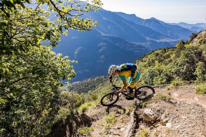   ...yet it remains pleasantly manoeuvrable in tight bends.