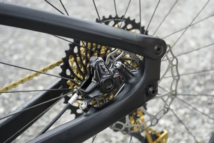   The single pivot joint, which is pulled far back and upwards, is somewhat reminiscent of the Focus Spine. The brake calliper sits on the chainstay.