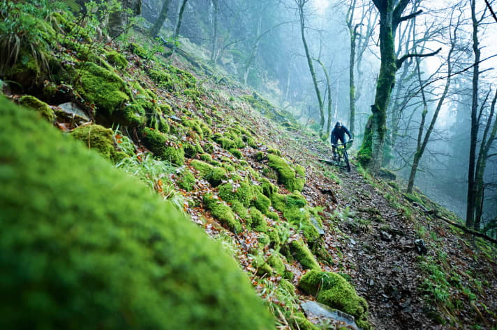 There are no flow trails in Ilsenburg. Here you should have fun on rugged, often steep natural trails.