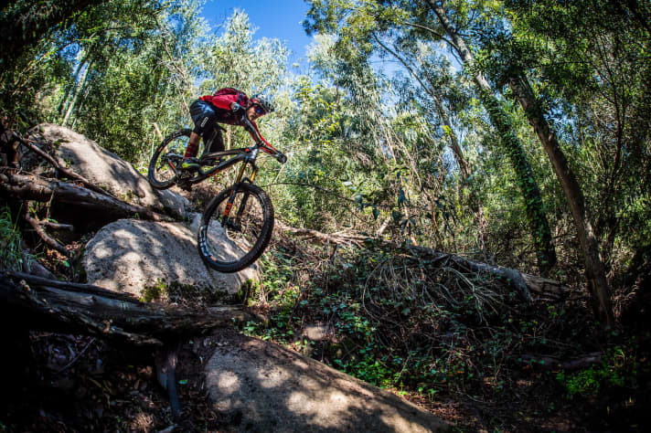   The flat geometry and ample suspension travel smooth out any terrain.