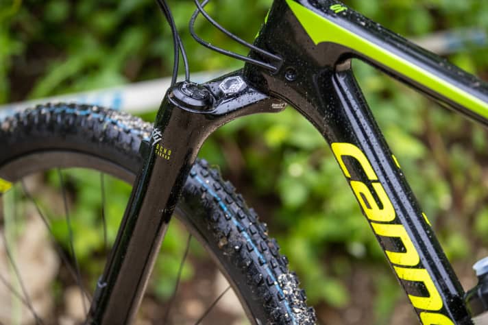   All shift cables have a continuous outer casing, disappear behind the head tube in the frame and only come out again at their point of action. By the way: A brand new Schwalbe tyre called Racing Roy is fitted to the front wheel.