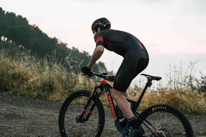   Stands on wading tips in the cradle: the Oiz in its latest edition.