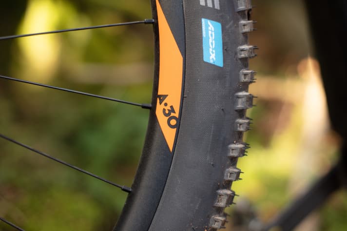   30 millimetre wide Newmen rims and Schwalbes Nobby Nic in 2.35 inch width are a good combination for this bike.