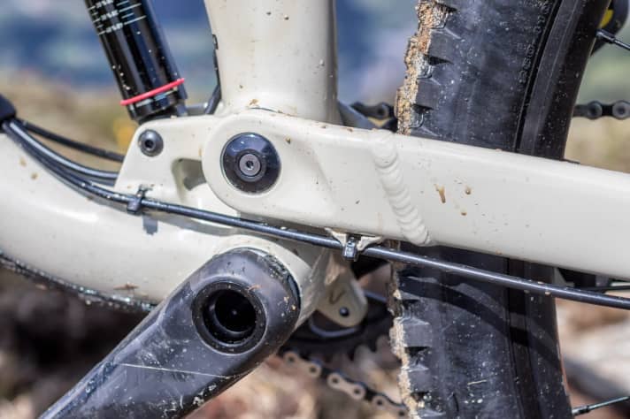   … während die hintere Bremsleitung Service-freundlich außen am Rahmen weiterläuft.