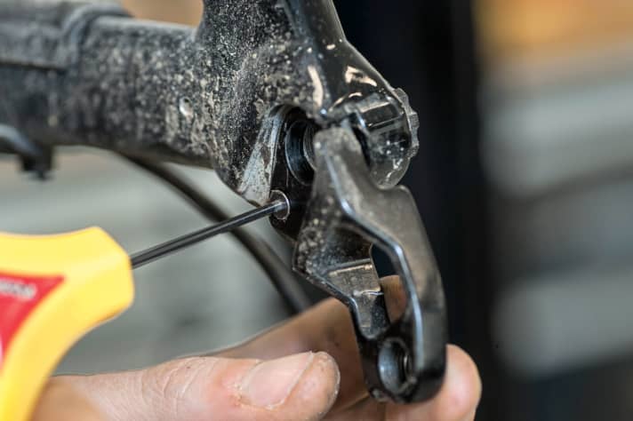 Screw loose? You should regularly check the tightening torque of the chainring and rear derailleur bolts as well as the derailleur hanger and cassette. The latter is often forgotten because you have to remove the rear wheel to check it.