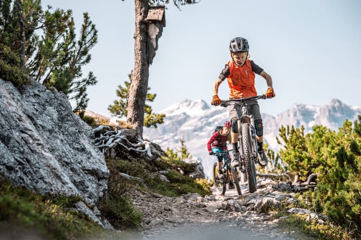 Der Nachwuchs ist auf dem Sprung, da kommen Mama und Papa kaum hinterher.