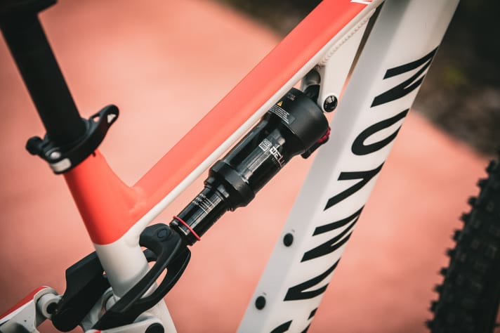 The suspension elements from Rockshox are specially designed for the low body weight of children.