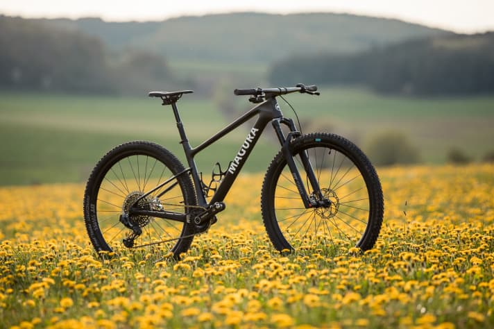   Wenn man genau hinsieht, erkennt man an Maguras Konzept-Bike nur ein einziges Kabel.