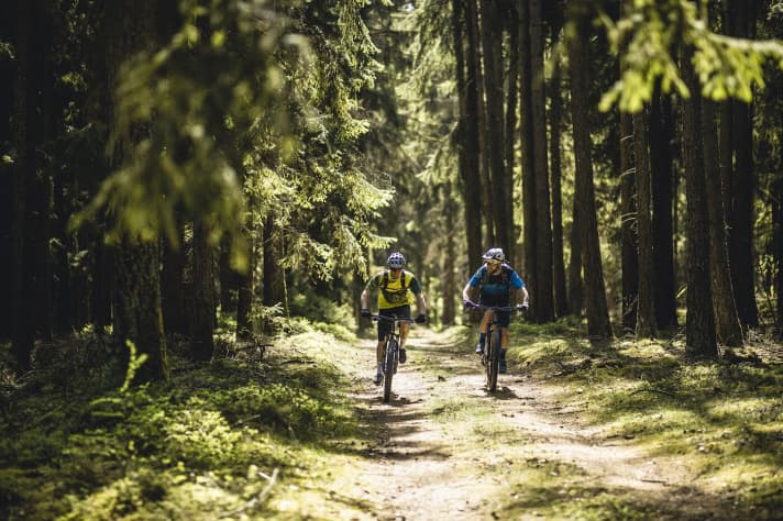   Idyllic forest trails provide a welcome contrast to the many single trails.