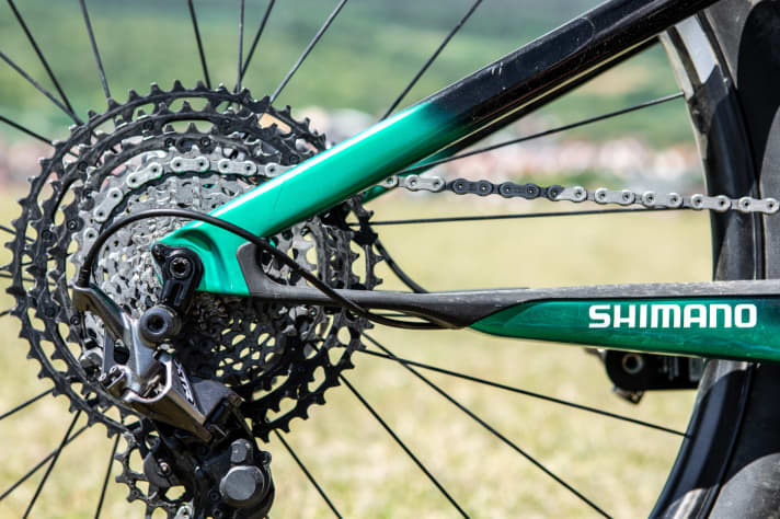   With the Flex-Pivot rear triangle, Cannondale saves 200 grams of frame weight compared to the previous model.