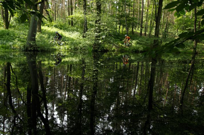   Dresdner Heide-Tour: trockener Sandboden – wenn man nicht in den See abbiegt.