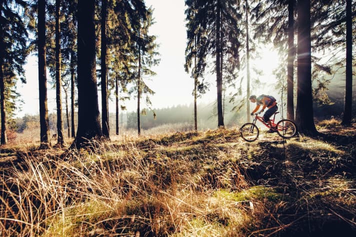   Deister, Niedersachsen