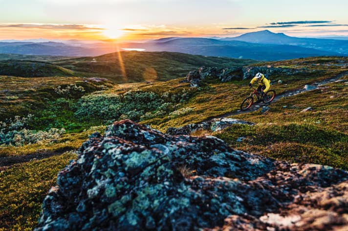Trail run-out: In addition to the downhill trails in the Åre Bike Park, there are 100 kilometres of signposted circular tours for self-pedalers. Nordic rugged and unspoilt. Page 6