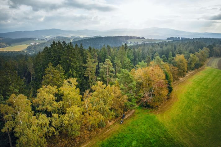 Not seeing the wood for the trees: This is what happened to editor Stefan Loibl on his discovery tour in the Bavarian Forest. Page 118