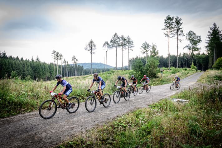   Forest paths, steep climbs, rugged descents, but also natural single trails are part of the route.