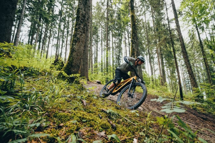 We've already had the chance to take the Trek Fuel EXe for a spin on the trails. Find out how it performed and how the new TQ HPR50 compares to other light drivetrains in our detailed test in EMTB 4/2022 - in stores from 16 August!