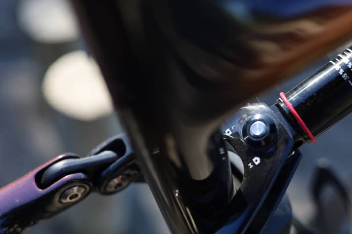 Der Flip-Chip in der Dämpferanlenkung des Specialized Epic erlaubt eine Feinanpassung der Geometrie.