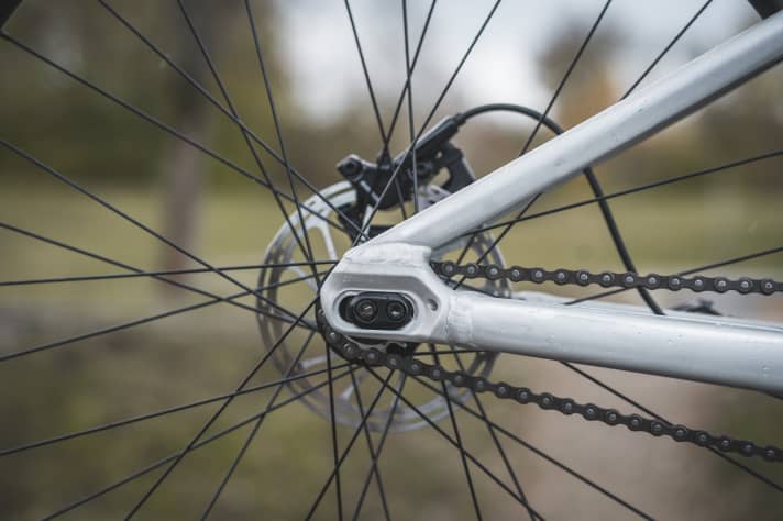 Über verschiebbare Ausfallenden, wie hier am <a href="https://luna.r.lafamo.com/ts/i5534689/tsc?typ=r&amc=con.blbn.497955.507800.14119779&smc=BIKE&rmd=3&trg=https%3A%2F%2Fwww.tradeinn.com%2Fbikeinn%2Fde%2Fspecialized-p.4-27.5-2023-bmx-fahrrad%2F140182621%2Fp" target="_blank" rel="noopener noreferrer nofollow">Specialized P4</a>*, lassen sich an Dirtbikes die Singlespeed-Ketten spannen.