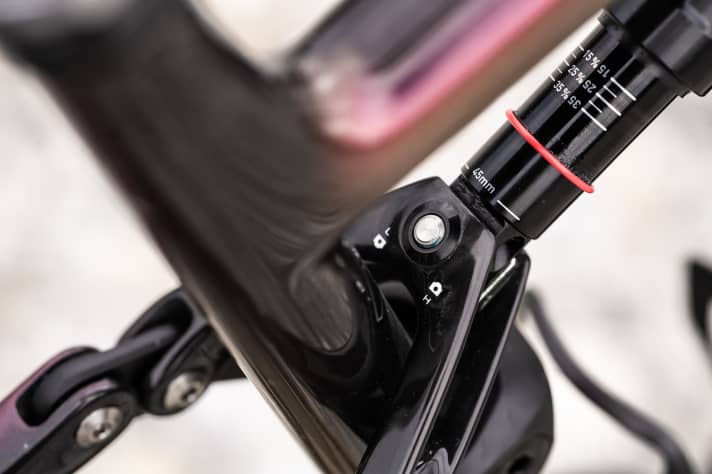 The integration of the flip chip for geometry adjustment on the Specialized Epic 2024 is very discreet. The hardware on the expensive S-Works version is made of titanium.