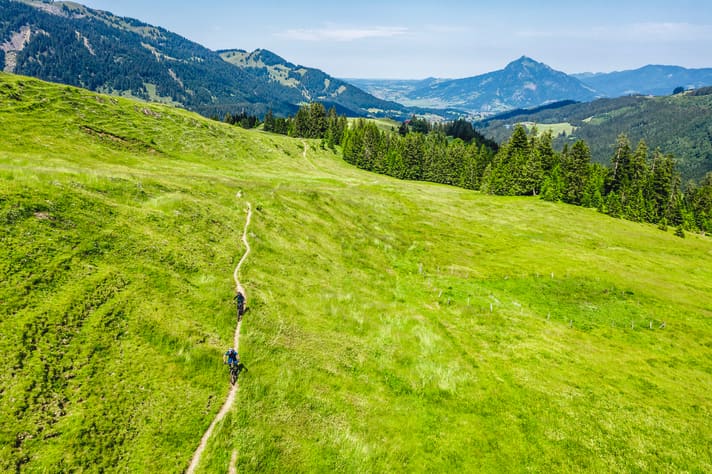 A picture-book trail stretches across the Gschwender Alpe. However, you will have to put in a lot more effort later on.