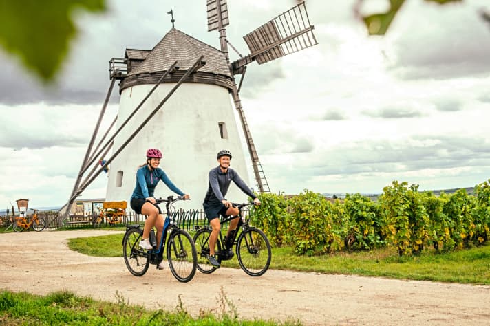 Highlight auf der Radtour durchs Weinviertel: die Retzer Windmühle