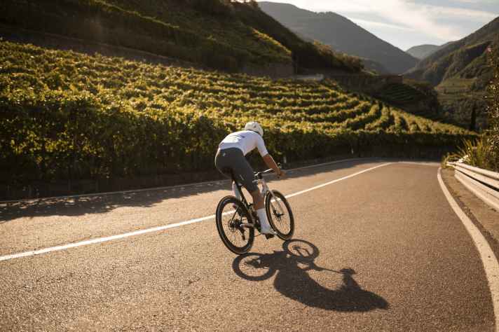 Vineyard region: on the tours around Bolzano you can see where the wine for dinner grows