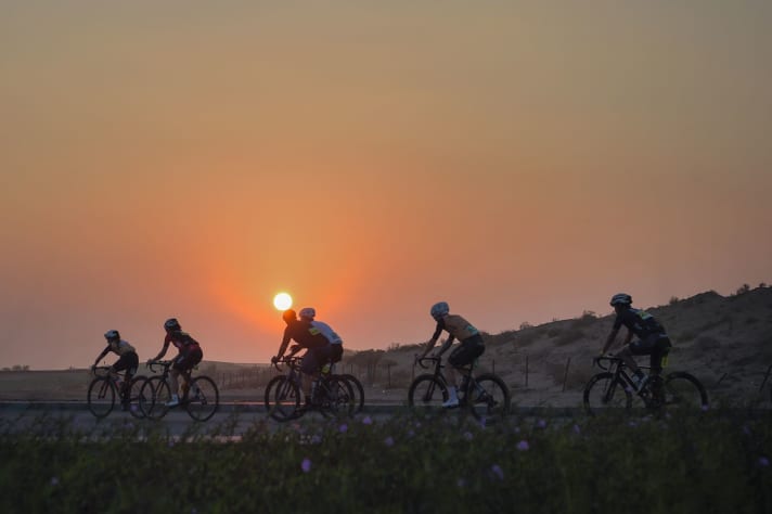 The race starts before dawn and takes the 800 participants from a suburb of Abu Dhabi to the oasis city of Al Ain.